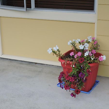 Maple Lodge Motel Matamata Dış mekan fotoğraf