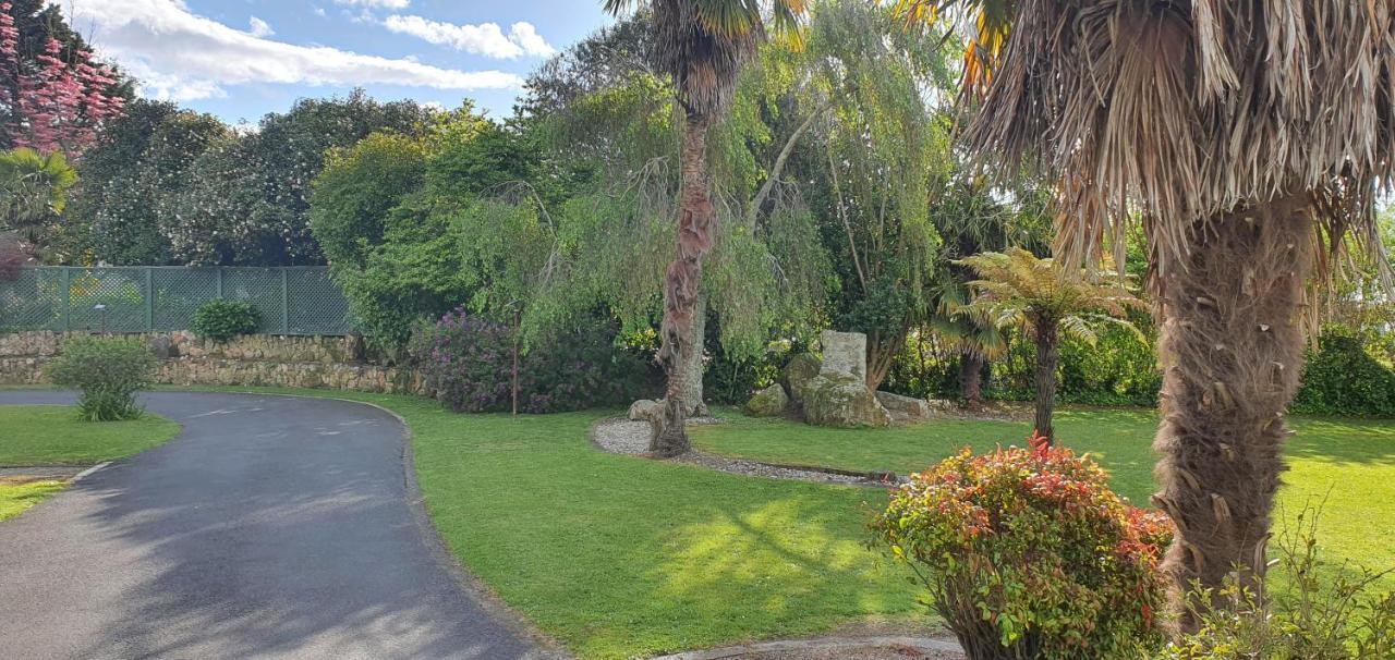 Maple Lodge Motel Matamata Dış mekan fotoğraf