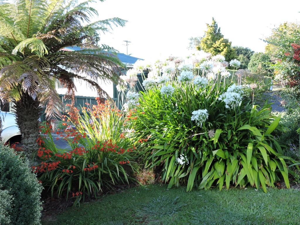 Maple Lodge Motel Matamata Dış mekan fotoğraf