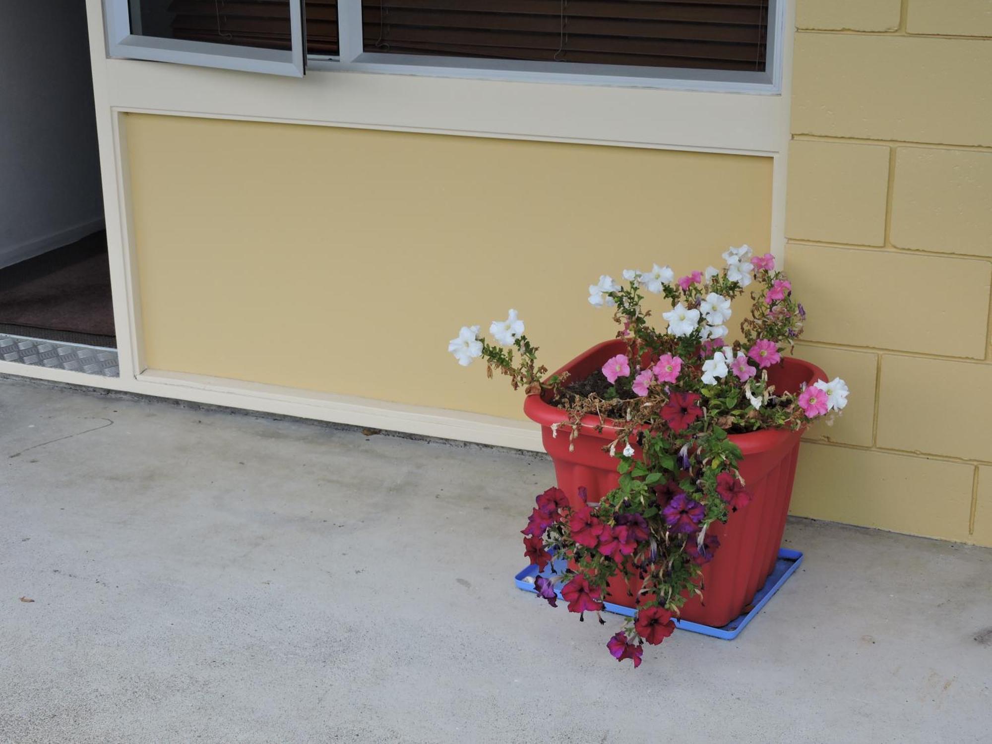 Maple Lodge Motel Matamata Dış mekan fotoğraf