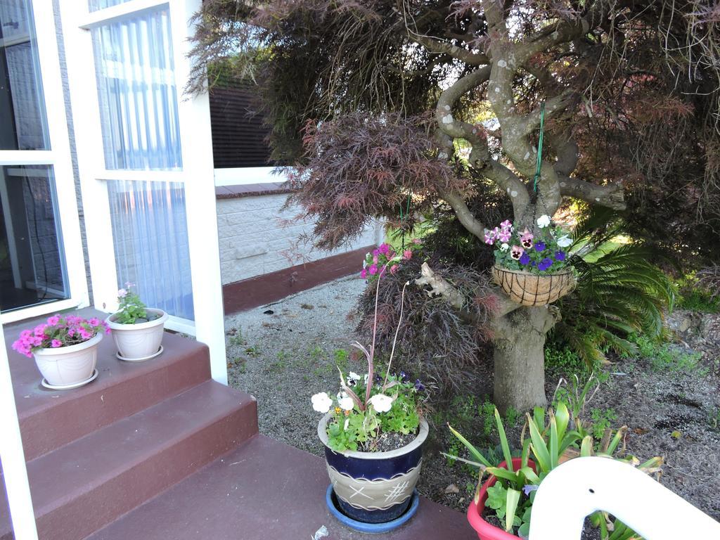 Maple Lodge Motel Matamata Dış mekan fotoğraf