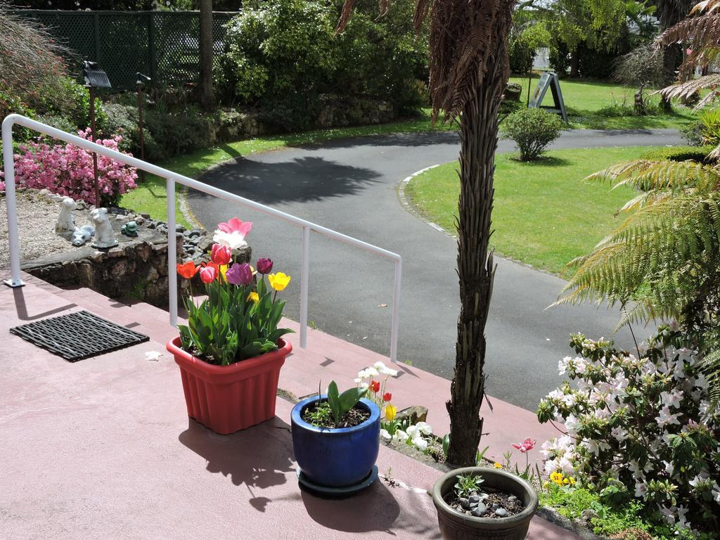 Maple Lodge Motel Matamata Dış mekan fotoğraf
