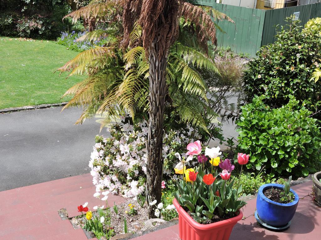 Maple Lodge Motel Matamata Dış mekan fotoğraf