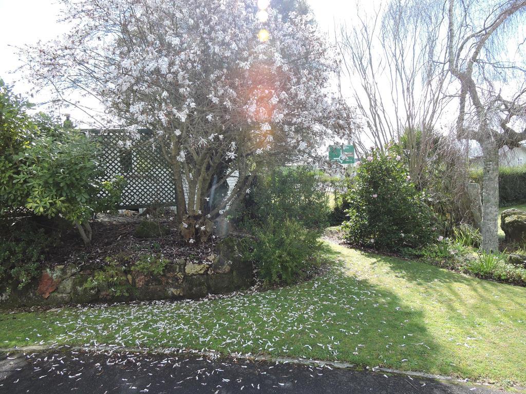 Maple Lodge Motel Matamata Dış mekan fotoğraf